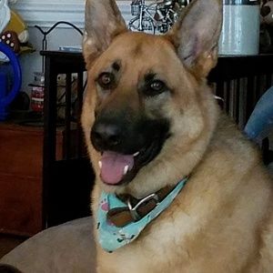 Meet your Posher, Maureen